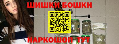гашик Сланцы