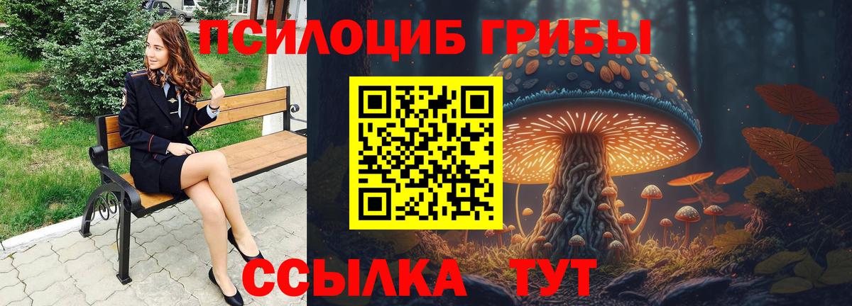 Галлюциногенные грибы мухоморы  Вход с VPN  Реутов  Галлюциногенные грибы мухоморы 