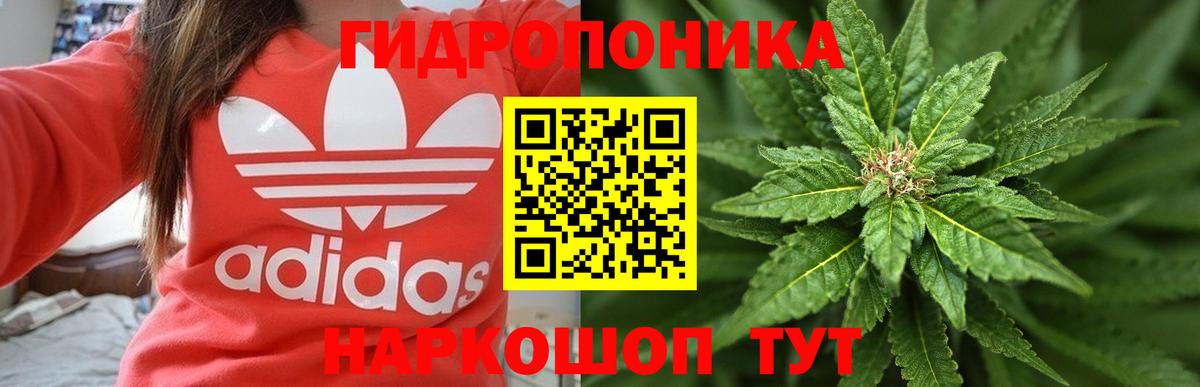 Шишки марихуана тримм Реутов